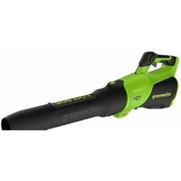 Greenworks GD40BG3 2408207