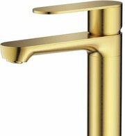 Splenka S222.10.03 фото